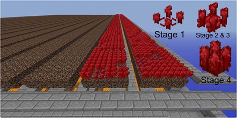 Minecraft: How To Grow Nether Wart