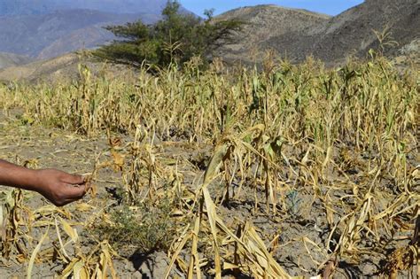 Enciende Sequ A Focos Rojos Para La Producci N De Alimentos En M Xico