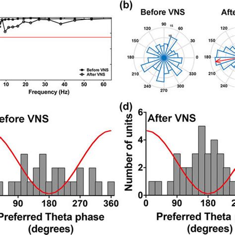 Spike Phase Locking To Theta Oscillations Within The BLA A Test Of