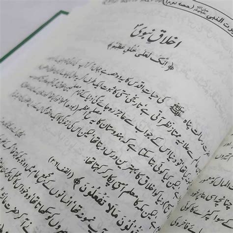 Best Seerat Un Nabi Book In Urdu 5uhwa23erf1