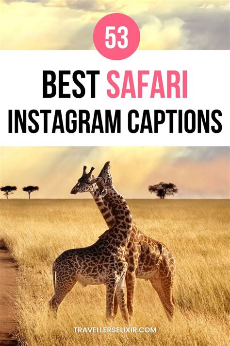 53 Safari Captions For Instagram Puns Quotes Short Captions