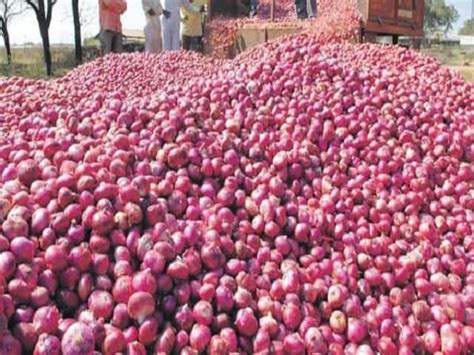 Onion Prices May Surge Traders In Maharashtra Will Go On Strike From