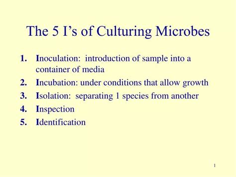 PPT The 5 Is Of Culturing Microbes PowerPoint Presentation Free