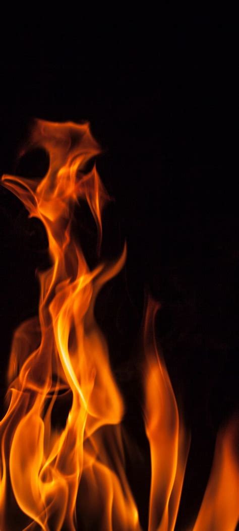 Fire in Black Wallpaper