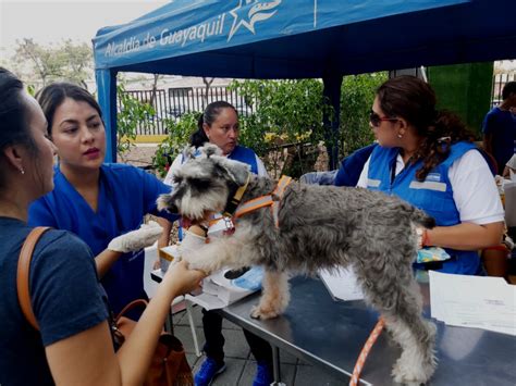 Parque Kennedy El Mejor Destino Para Pasear Con Tus Mascotas Viajar