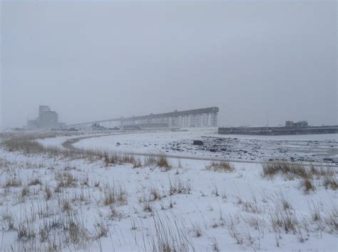 Arctic wildlife in Churchill | Churchill Polar Bears