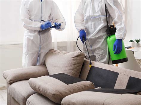 pest control services pest control malaysia termite control