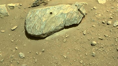 Nasa Says Rock Samples Found By Rover Reveal Alien Life May Have