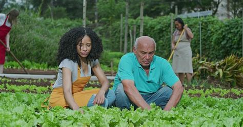 Premium Photo Group Of People Farming At Community Garden Plantation South American Farmers