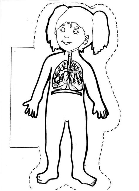 Aparato respiratorio rompecabezas en línea