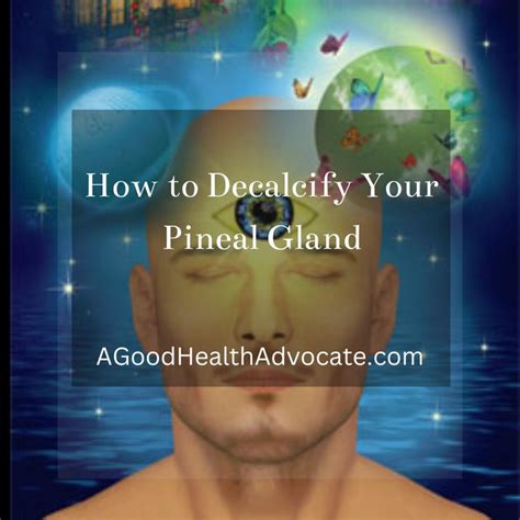 How To Decalcify Your Pineal Gland Drink Distilled Water Take Msm