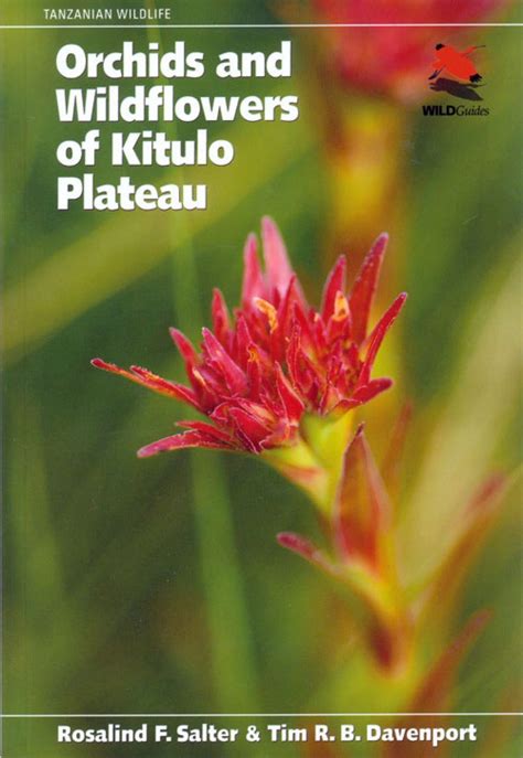 Orchids And Wildflowers Of The Kitulo Plateau Nhbs Field Guides