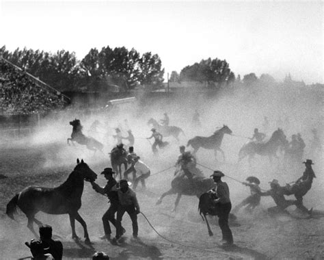 Calgary Stampede – Yousuf Karsh