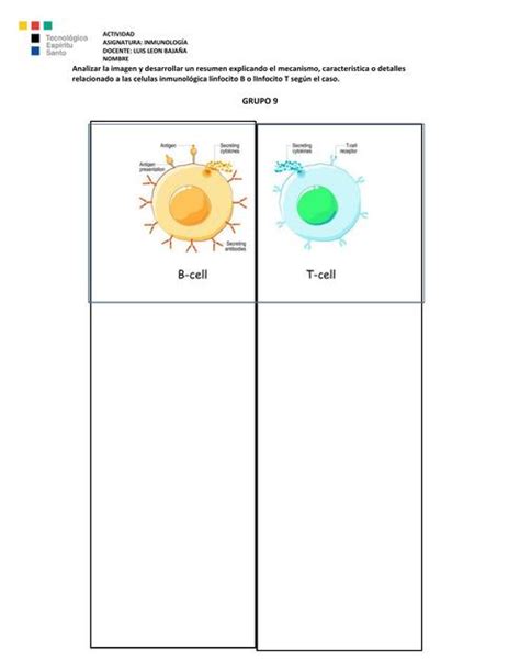 Actividad Grupal Linfocitos Angel Udocz