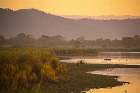 What Do We Know About The Terai Duar The Savanna At The Foothills Of