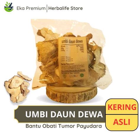 Promo Umbi Daun Dewa Kering Ramuan Rempah Herbal Asli Jamu Minuman