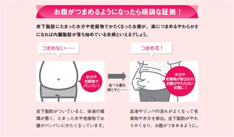 お腹がつまめるようになったらダイエットが順調な証拠な理由とは？！【図解 内臓脂肪がごっそり落ちる食事術】｜ニフティニュース