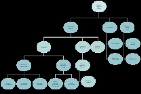 Finance Department Structure