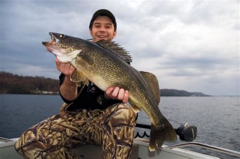 Walleye guide • Outdoor Canada