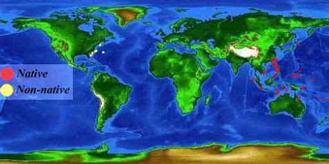 Lionfish Habitat Map