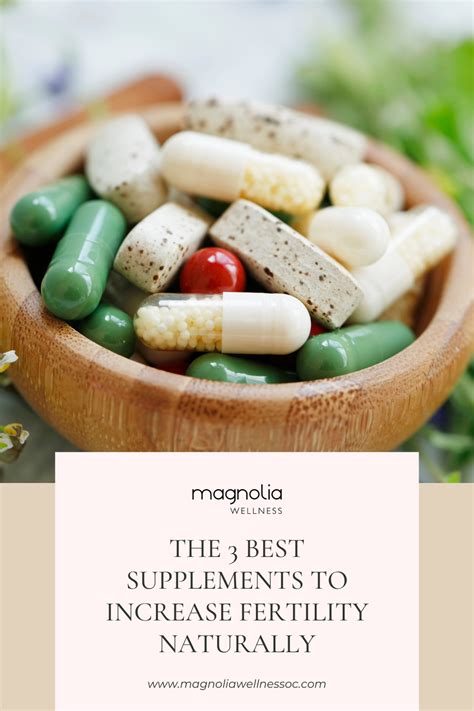 The 3 Best Supplements To Increase Fertility Naturally Magnolia Wellness Oc