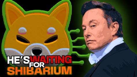 ELON MUSK WAITING FOR SHIBARIUM AND SECRETLY HOLDING SHIBA INU COIN