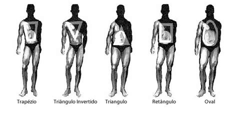 Introduzir Imagem Qual Tipo De Cal A Para Cada Corpo Br