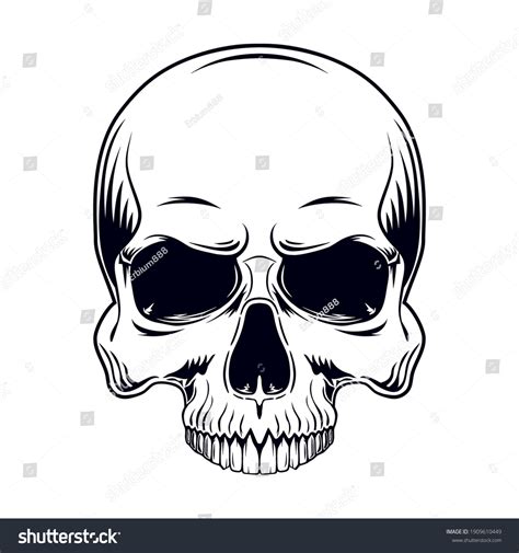 Black White Vector Illustration Human Skull Stock Vector Royalty Free