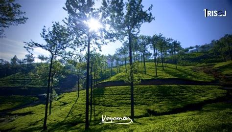 Best Peaceful Tourist Places To Visit In Vagamon Trisoj