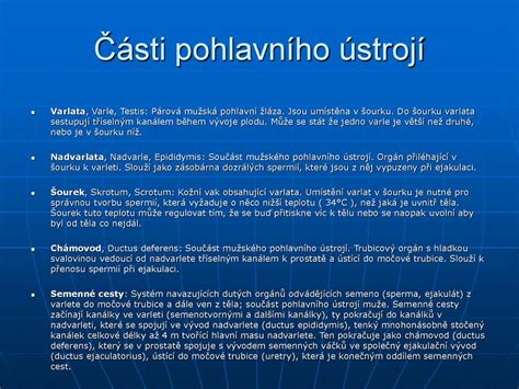 Pohlavní ústrojí mužské P E N I S ppt stáhnout