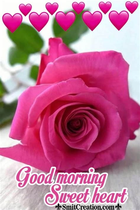 Good Morning Sweetheart Roses - SmitCreation.com