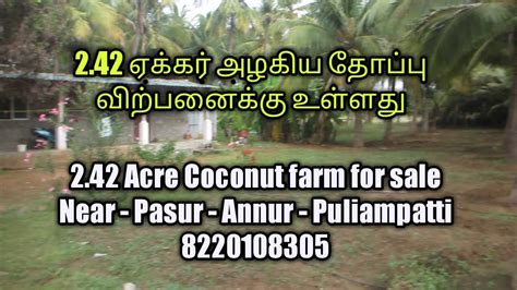 Sold Acre Coconut Farm For Sale Near Pasur Annur