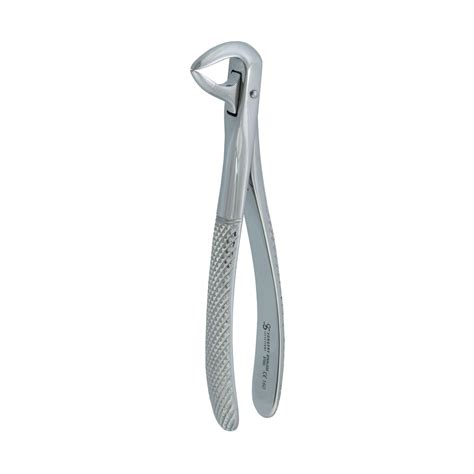 Surgery Selections Extraction Forceps 137 Lower Centrals And Roots