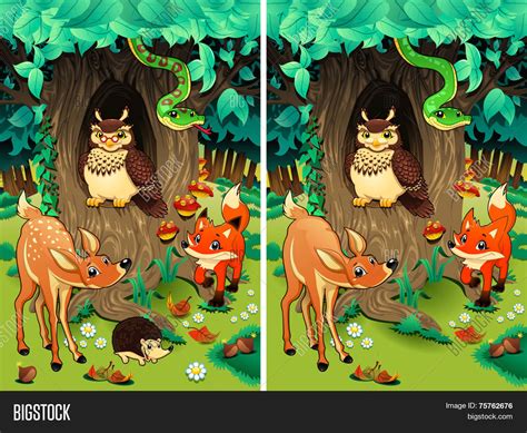 Spot Differences Two Vector And Photo Free Trial Bigstock