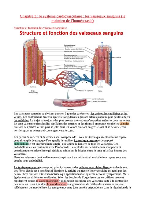 L1 Staps CM Physiologie Les vaisseaux Chapitre 3 le système