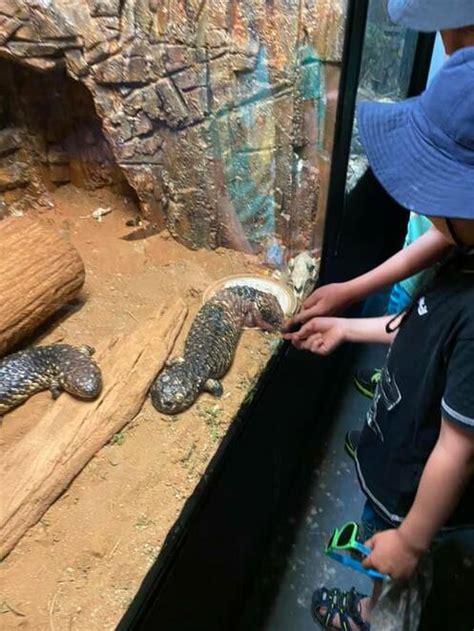 Potoroo Palace Native Animal Educational Sanctuary New South Wales