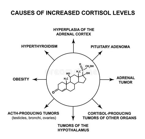 Symptômes De Bas Cortisol Le Cortisol D hormone Du Stress Est Une