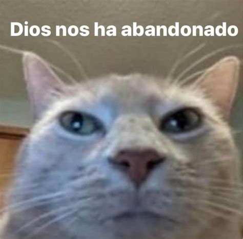 Dios nos ha abandonado Momos En Español Amino