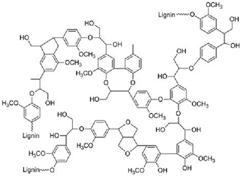 Lignin Structure 15 16 Download Scientific Diagram