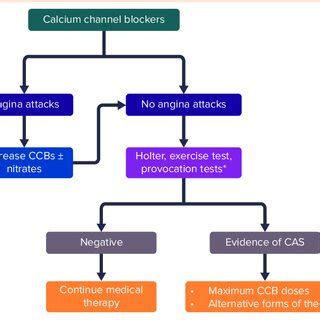 General Approach to the Treatment of Patients with Variant/Vasospastic ...