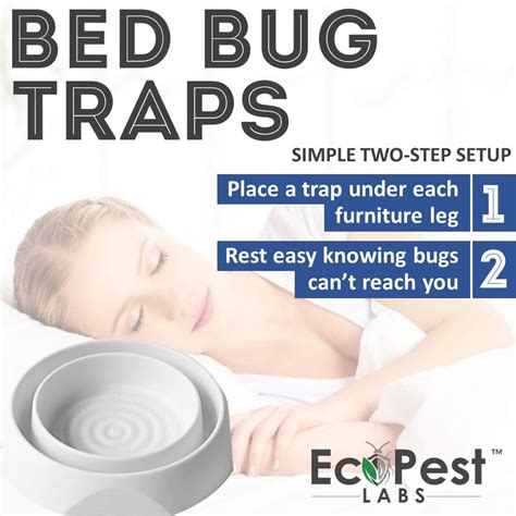 The Best Bed Bug Solution For Your Home Get Rid Of Bed Bugs In 48