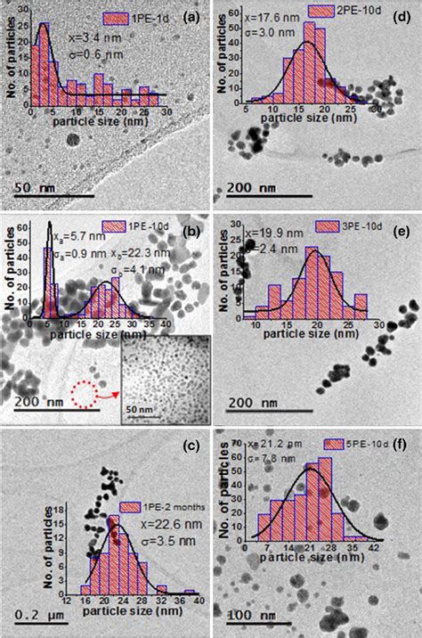 Typical Tem Images And Corresponding Size Distribution Histograms Download Scientific Diagram