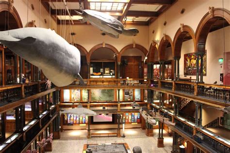 Bishop Museum Hawaiian Hall