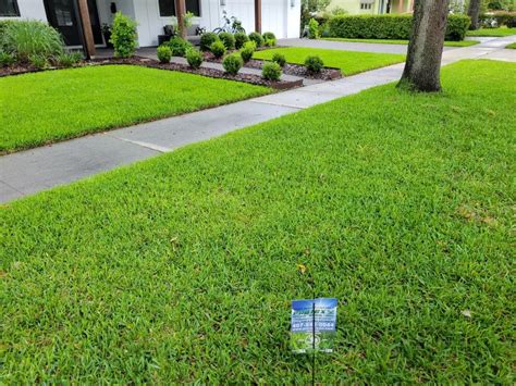 5 Types Of Pest Control Methods Orlando Protex Lawn And Pest Control