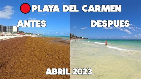 PLAYA DEL CARMENAL MOMENTOSARGAZO HOYPLAYA MAMITAS 3 ABRIL 2023