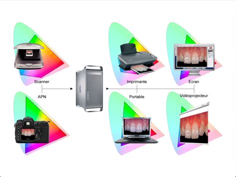 Restriction De La Gamme Des Couleurs Gamut Selon Les P Riph Riques