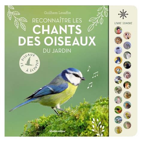 Accueillir Les Oiseaux Au Jardin Les Bonnes Pratiques Suivre C T