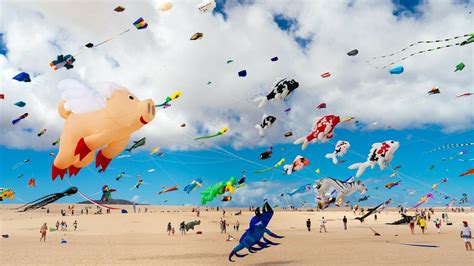 Un Sublime Festival Du Cerf Volant Va Colorer Berck Sur Mer En 2023