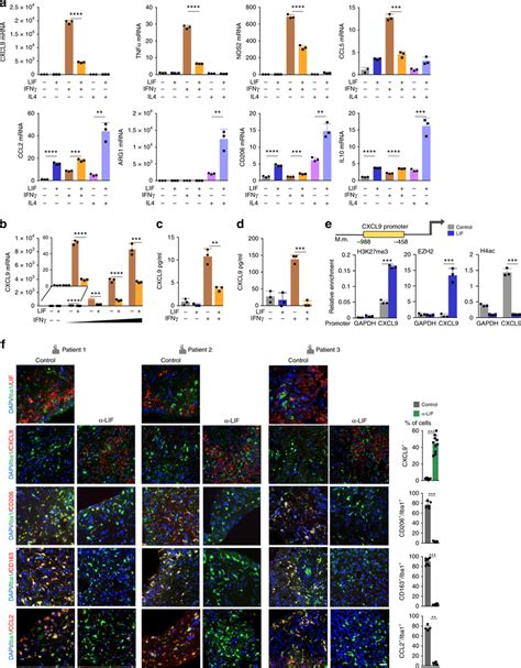 Lif Represses Cxcl9 Through Epigenetic Silencing A B Qrt Pcr Analysis