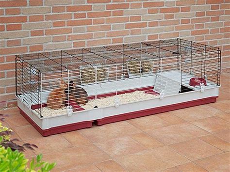 Best 6 Indoor Hedgehog Cages You Can Get In 2022 Reviews